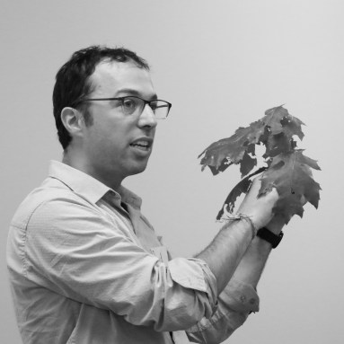 IMG_0464 - David Meshoulam_edited