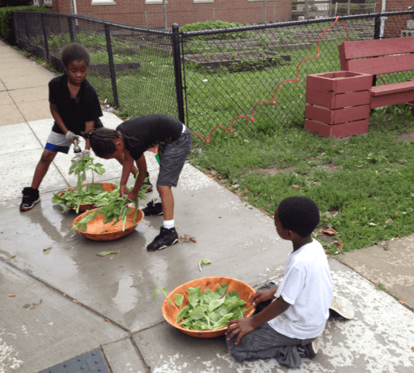 Screen Shot 2018-11-29 at 9.47.34 PM